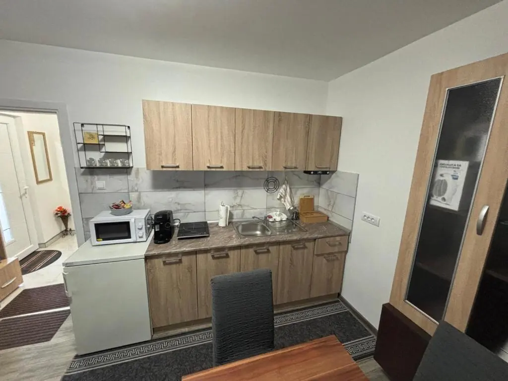 Apartman Dragićević - equipped kitchen
